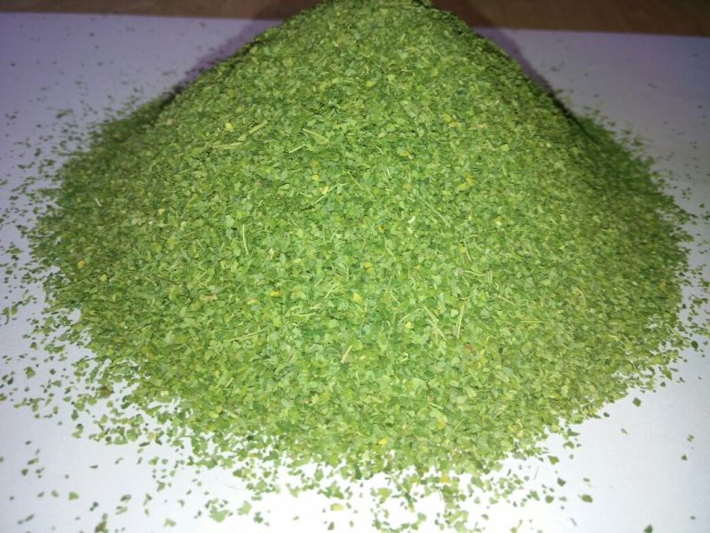 Moringa Oleifera Tea Cut Leaves
