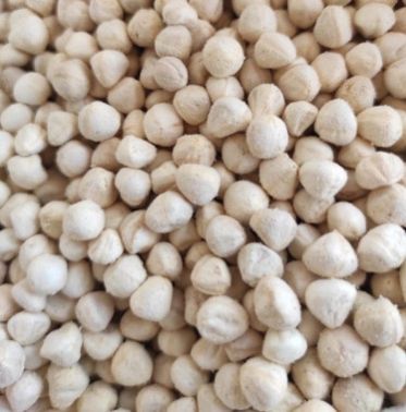 DRUMSTICK KERNEL SEED