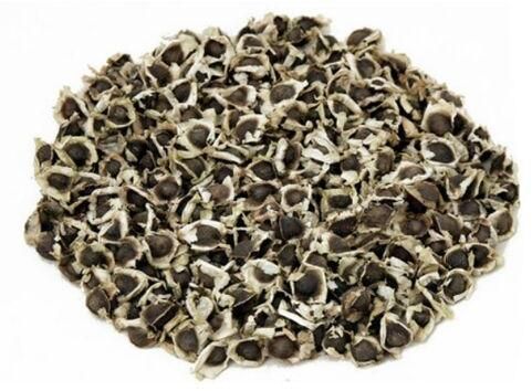 Moringa PKM1 Seeds