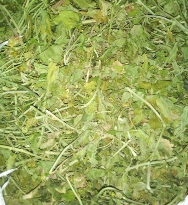 passiflora incarnata leaves