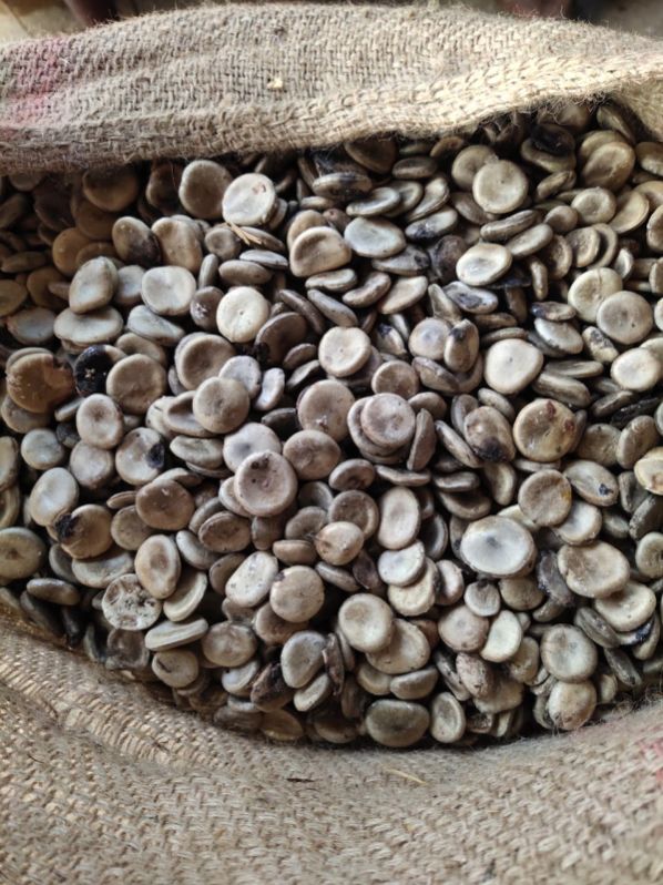 Brown Pure nux vomica seeds