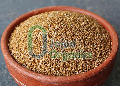 Organic Barnyard Millet, for High in Protein, Purity : 100%