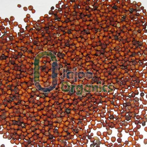 Organic Ragi Seeds, Purity : 100%
