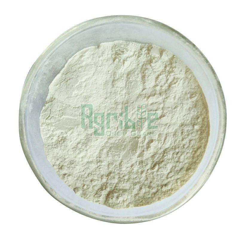 Ferrous Sulphate Monohydrate 31%