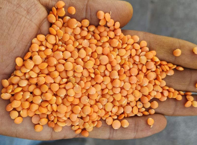 Natural Red Lentils, for Cooking, Feature : Purity, Nutritious, Highly Hygienic