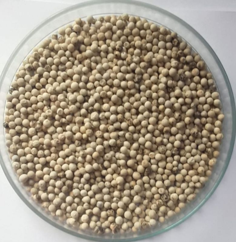 White Pepper Seeds, for Cooking, Packaging Type : Bag