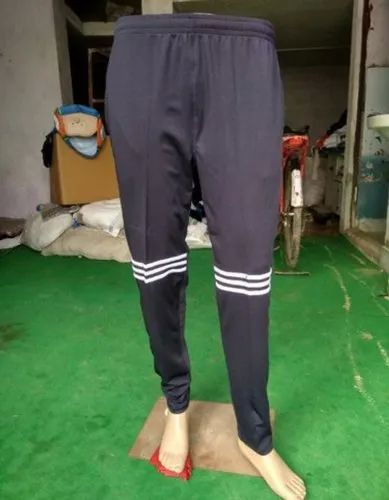 Ladies Cotton Pant at Rs 150/piece, Ladies Cotton Pant in Meerut