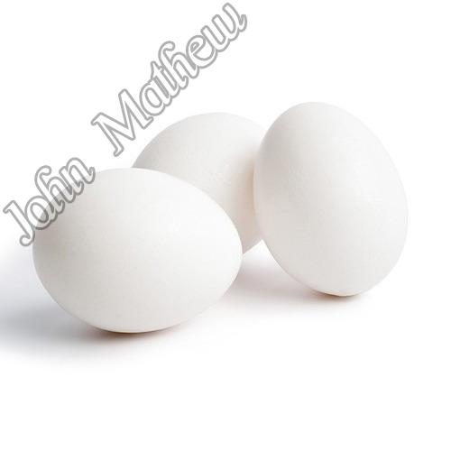 Fresh White Eggs, for Restaurant, Mess, Household