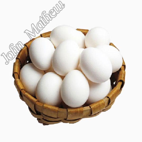 Fresh Table Egg, for Bakery Use, Human Consumption, Packaging Type : Tray