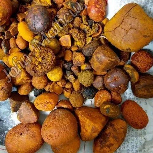 Ox Gallstones, for Medicine, Form : Solid