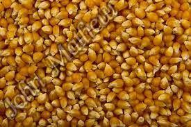 Pop Corn (Butterfly and Mushroom Types), for Snacks, Home, Office, Restaurant, Hotel, Style : Zipper