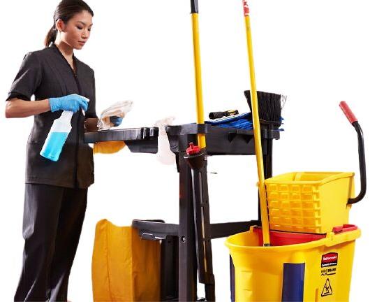 domestic housekeeping services