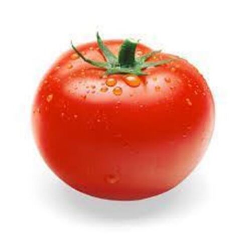 Organic Fresh Tomato, for Skin Products, Packaging Type : Jute Bag, Net Bag
