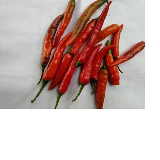 dry red chilli