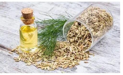 Vikas Aromatics Fennel Seed Oil, Packaging Size : 30 Kg