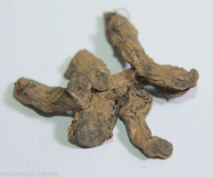 Dried Black Turmeric