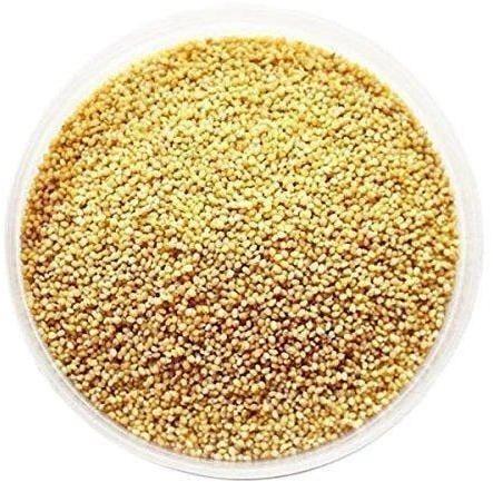 Natural Millet Seeds, for Cattle Feed, Packaging Type : Plastic Bag