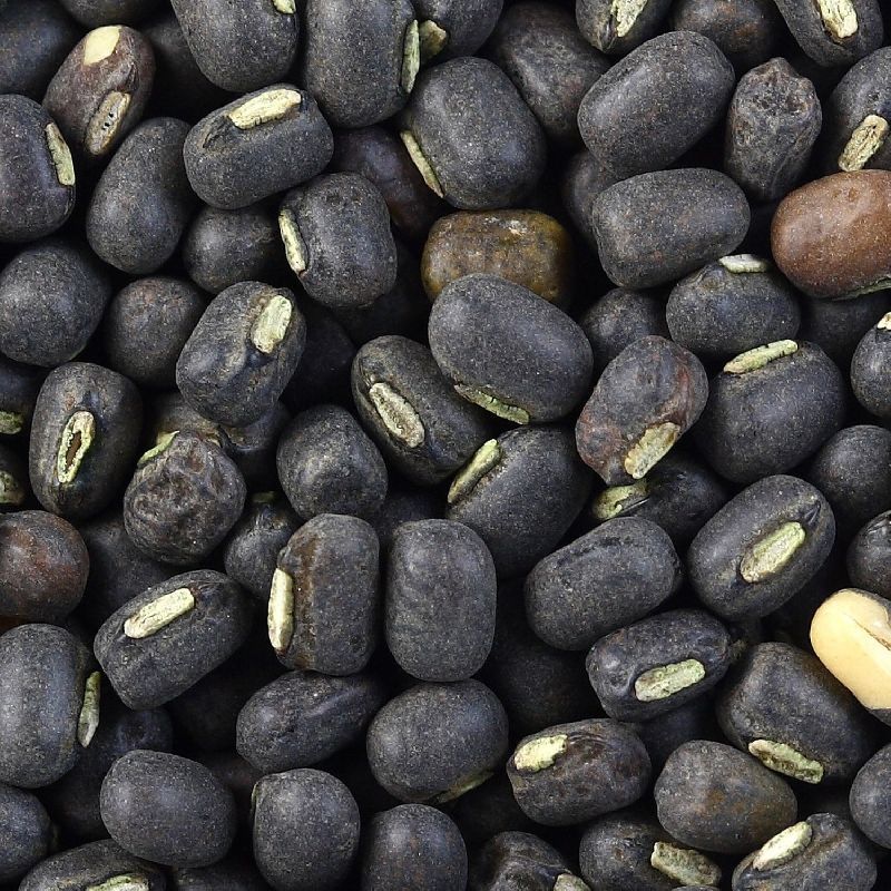 Natural urad dal, Size Available : 7mm, 8mm, 10mm