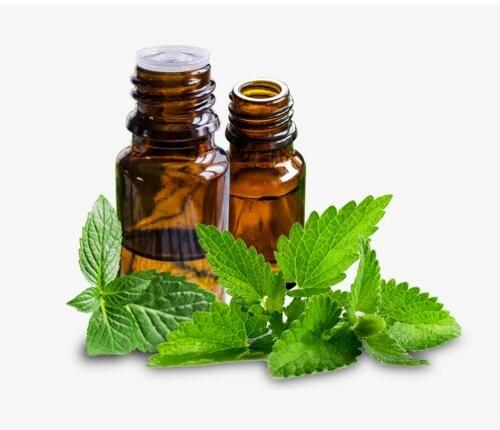 Peppermint Oil, for Fever, Infections, Stomach Issue, Feature : Good Quality, Mental Fatigue, Purity