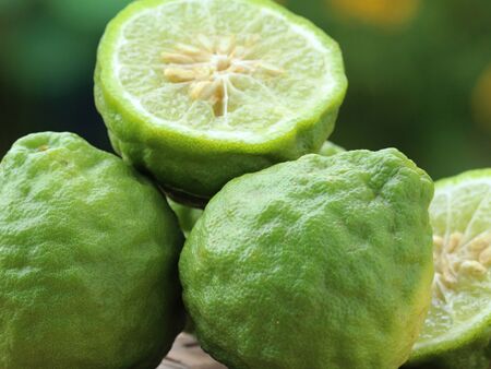 Bergamot Essential Oil,bergamot essential oil