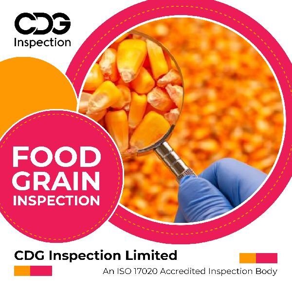 Food Grain Inspection In Delhi