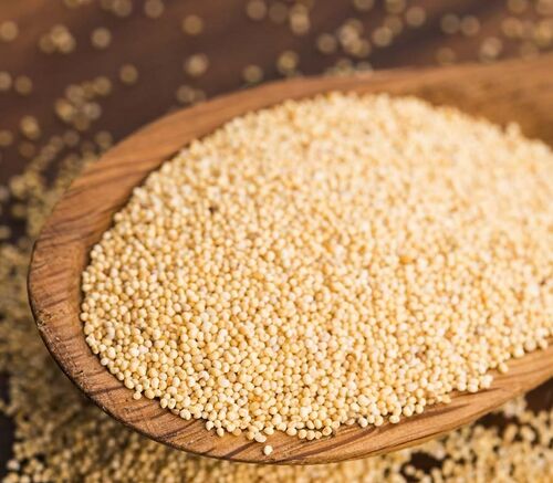 Organic poppy seeds, Certification : FSSAI Certified