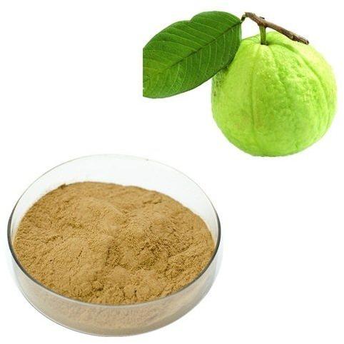 Spray Dried Guava Powder