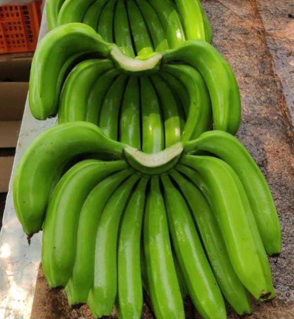 Natural Green Banana, for Human Consumption, Cooking