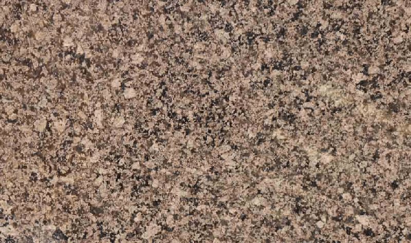 Devi Arbuda Polished Desert Brown Granite Slab, for Construction, Size : Standard