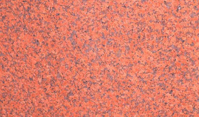 Devi Arbuda Polished Mungeria Red Granite Slab, for Construction, Size : Standard