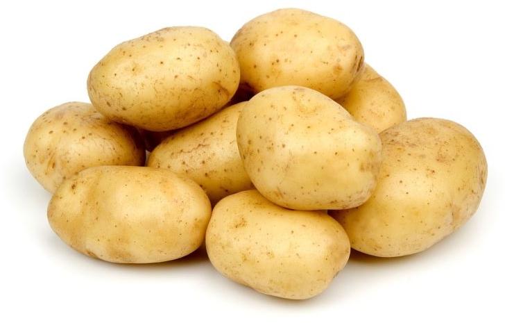 Natural Fresh Potato, for Cooking, Packaging Size : 10 Kg