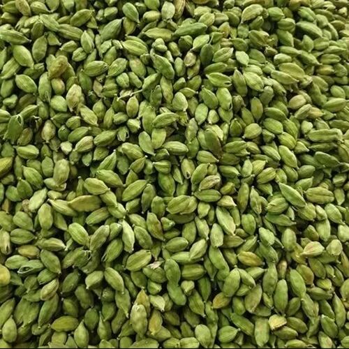 Natural Raw Polished green cardamom, for Food Medicine, Spices, Cooking, Packaging Type : Gunny bag