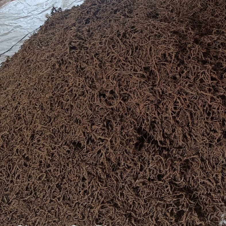 Aushadhi Herbal Organic picrorhiza kurroa, for Medicinal, Packaging Type : Gunny Bags