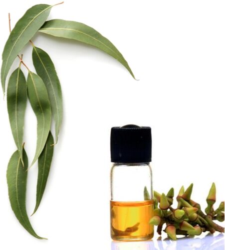 Eucalyptus oil, Feature : Aid Wound Care, Freshness, Purity