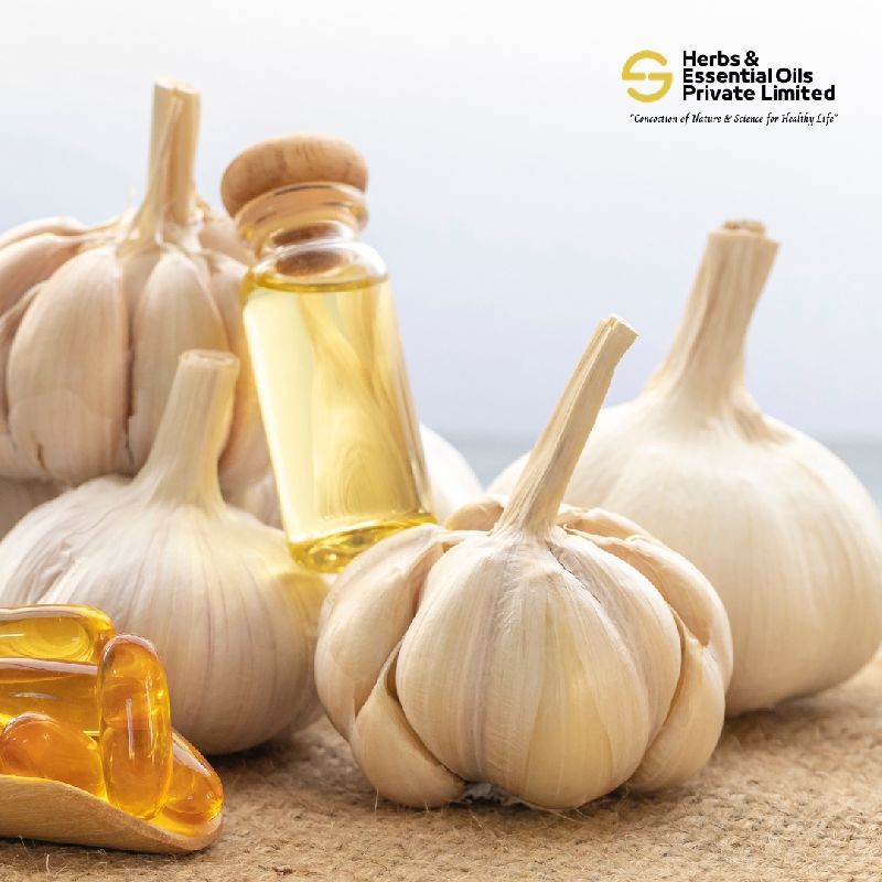 Garlic Essential Oil, Color : Creamy