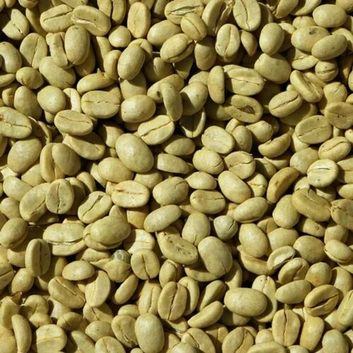 Raw Coffee Bean, Shelf Life : 6 Month