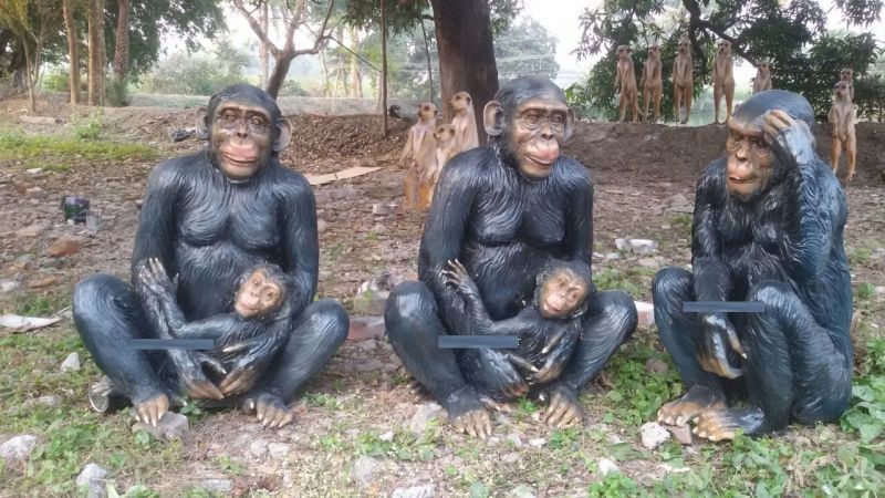 Printed Fiberglass Chimpanzee Statue, Size : All Sizes