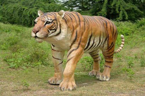 Life Size Fiberglass Tiger Statue, Style : Antique