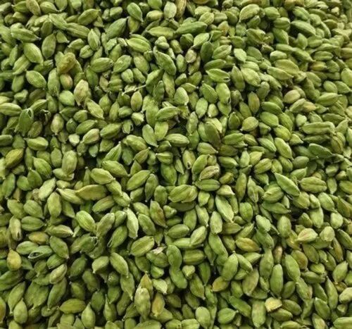 Green Cardamom, for Cooking, Variety Of Cardamom : Bold