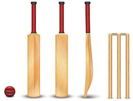 Plastic Cricket Set, Feature : Crackproof, Durable, Easy To Carry