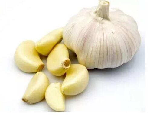 Fresh garlic, for Cooking, Snacks