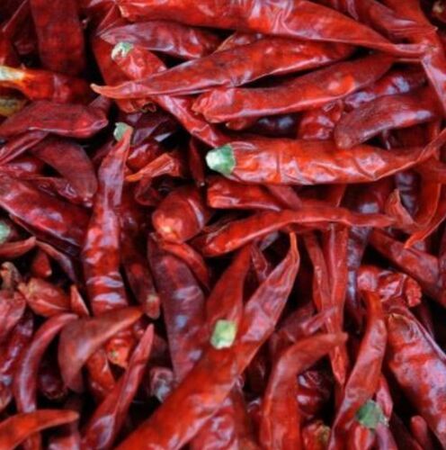 Guntur Sannam Chili, Color : Red