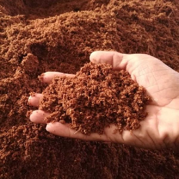 Anjali Biotech Activated Cocopeat, for Agricultural, Color : Brown