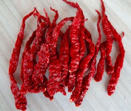 Natural byadgi chilli, for Cooking, Spices, Food Medicine, Form : Solid