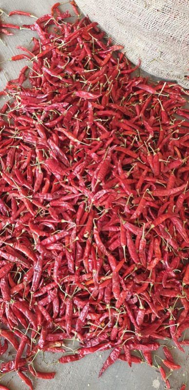 Common Raw 334 Dry Red Chilli, for Food Medicine, Certification : FSSAI Certified