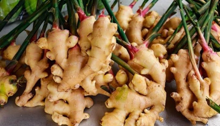 fresh ginger