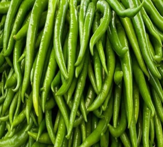 Common Fresh Green Chilli, for Human Consumption, Cooking