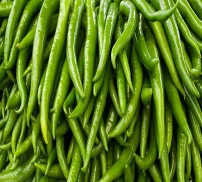 fresh green chilli