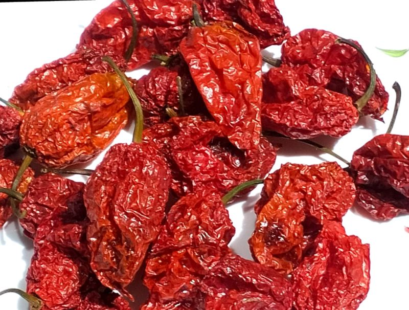 Red ghost pepper or king chilli