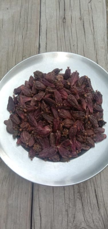 Unpolished Natural Raw Large Cardamom, For Food Medicine, Spices, Cooking, Size : 50mt